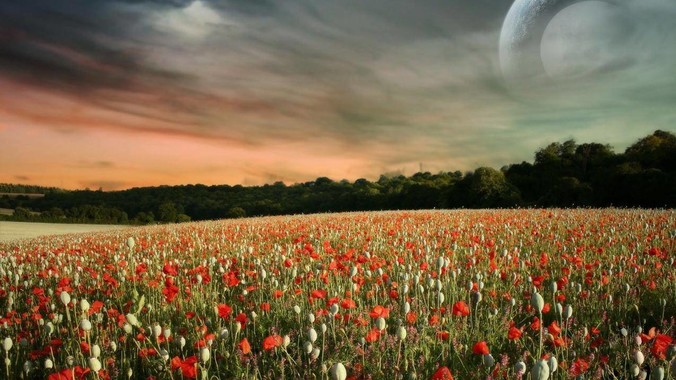 为什么linux桌面那么丑？